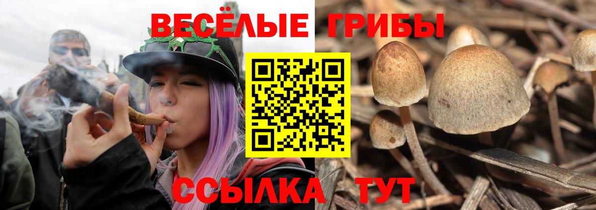 Галлюциногенные грибы Magic Shrooms  Псилоцибиновые грибы мухоморы  Вход с VPN  Одинцово 